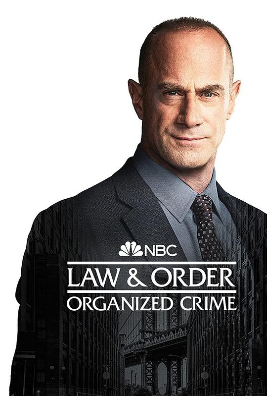 法律与秩序：组织犯罪 第三季第19集