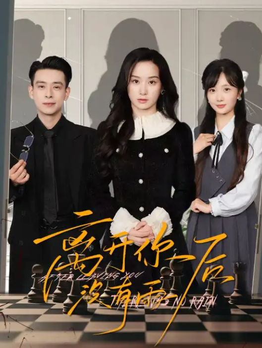 离开你后没有雨(全集)