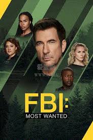 联邦调查局：通缉要犯 第六季(全集)